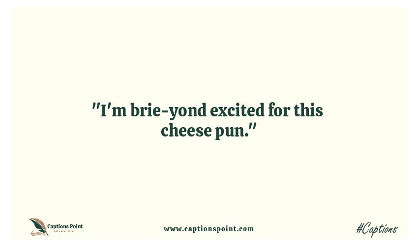 Best Cheese Puns Captions For Instagram
