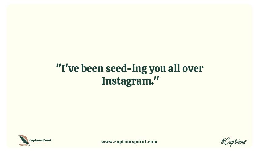 Best Pumpkin Puns Caption For Instagram