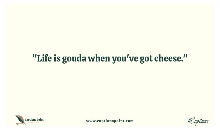 Cheese puns Instagram caption