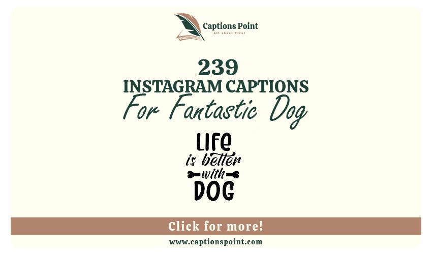 Dog Captions For Instagram