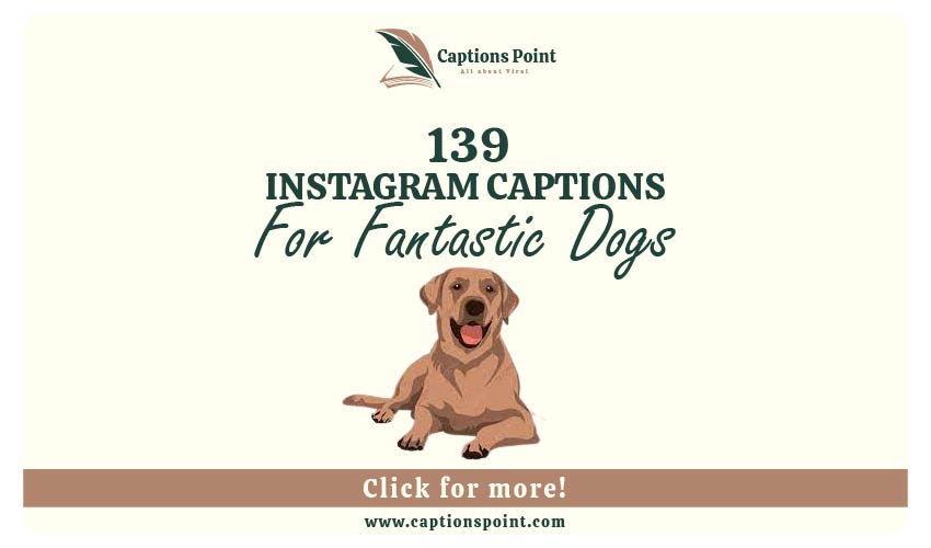 Dogs Inspirational captions For Instagram