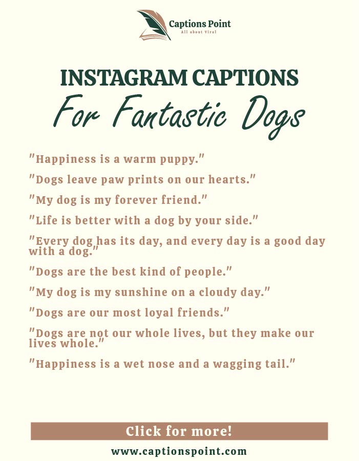 Good Dogs Inspirational captions For Instagram