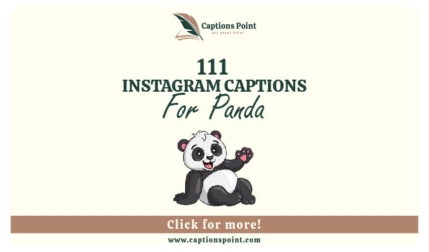 Panda Captions for Instagram