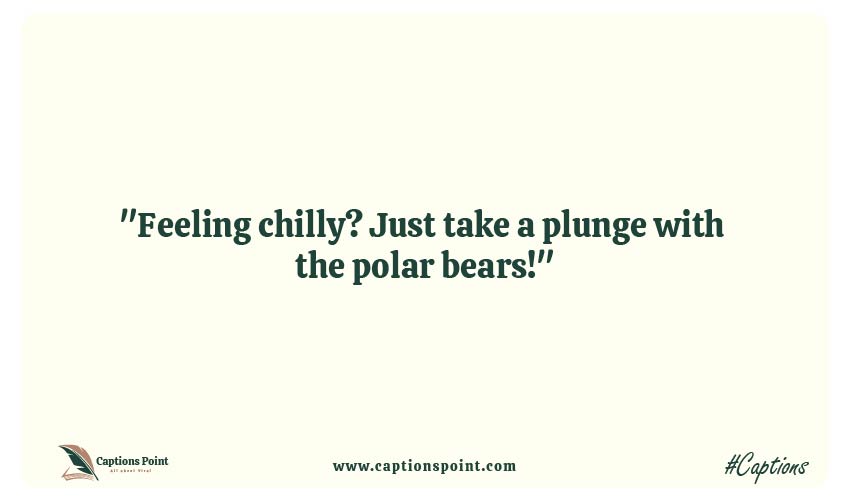 Polar Bear Plunge Day Captions Slogans