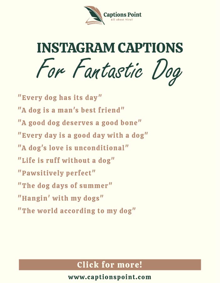 Puppy Instagram captions