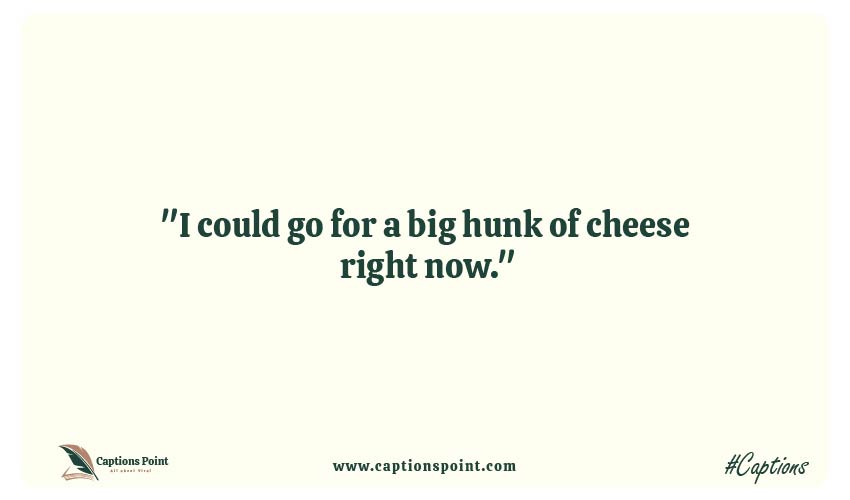 Short Cheese Puns Captions For Instagram