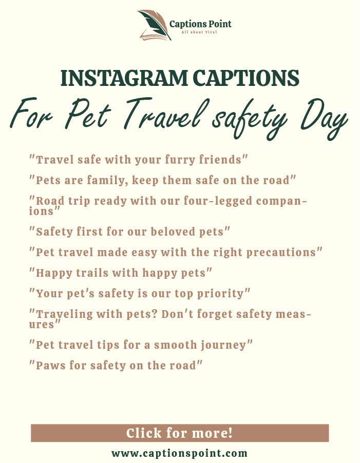 caption for National Pet Travel safety Day
