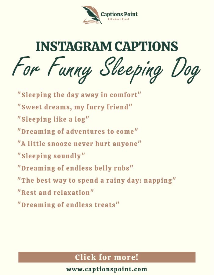 short Sleeping Dog Caption For Instagram
