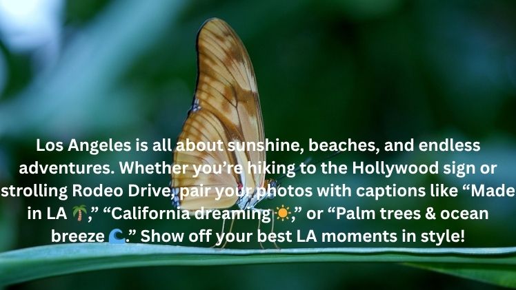 Los Angeles Captions For Instagram