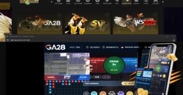 How Rajanaga777 Keeps the Spirit of Classic Cockfighting Alive Online