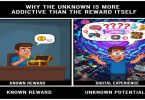 Why the Unknown Is More Addictive Than the Reward Itself.